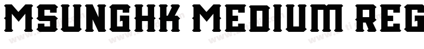 MSungHK Medium Regul字体转换